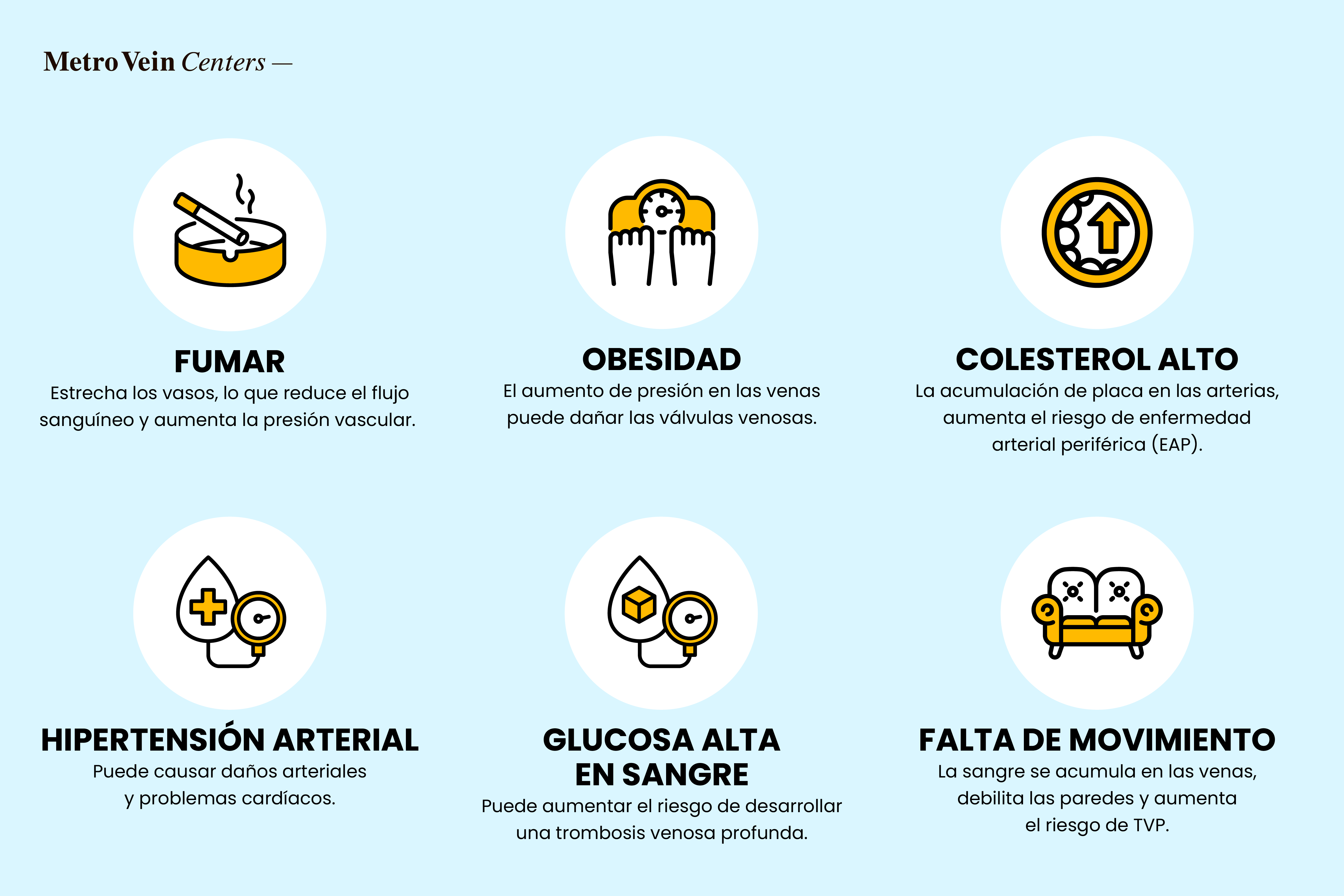 Las venas desempeñan un papel esencial en el mantenimiento del bienestar cardiovascular y la salud del corazón.